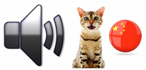 Animal sounds chinese.jpg