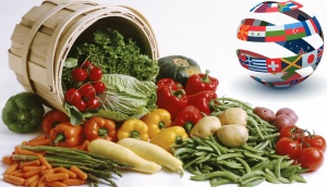 Vegetables-in-many-languages.jpg
