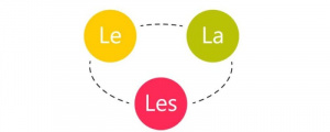 Definite-article-in-french-polyglotclub.jpg