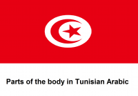 Parts of the Body