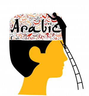 Brain arabic vocabulary brain.png