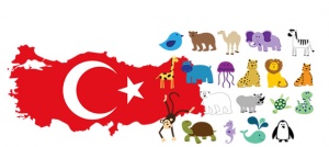 Hayvanlar.jpg