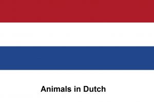 Animals in Dutch