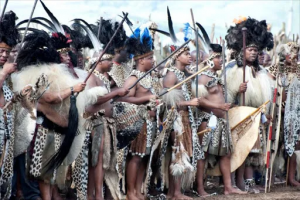 Www.ulwaziprogramme.png