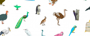 BirdJapanese .jpg