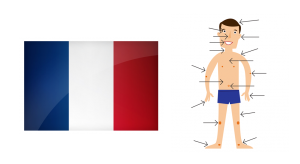 Vocabulaire-français-le-corps.png