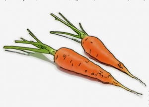 Les legumes.jpeg
