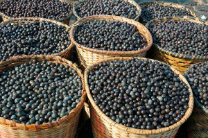 Açaí.jpg