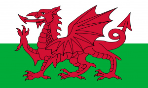 Welsh-language-polyglotclub-lessons.jpg