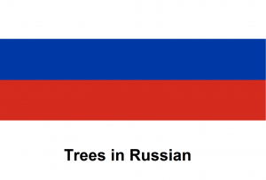 Trees in Russian