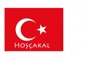 Say-goodbye-turkish.jpg