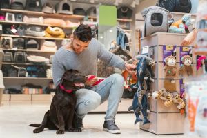 Pet store.jpg