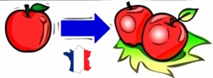 Learn french plural.jpg