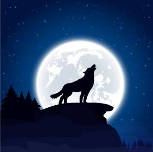 Howl.jpg