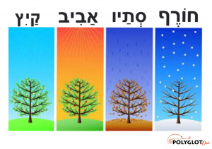 4-seasons-vocabulary-hebrew-polyglotclub.jpg
