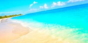 At the beach .jpg