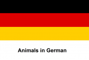 Animals in German