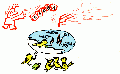 017.gif