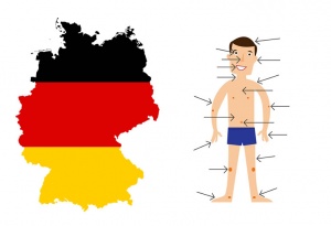 Body-parts-in-german.jpg