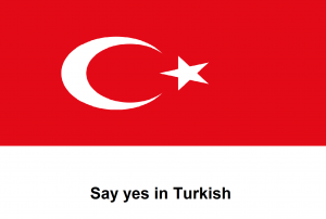 Say yes in Turkish