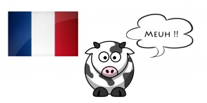 Cris-des-animaux-en-français.jpg